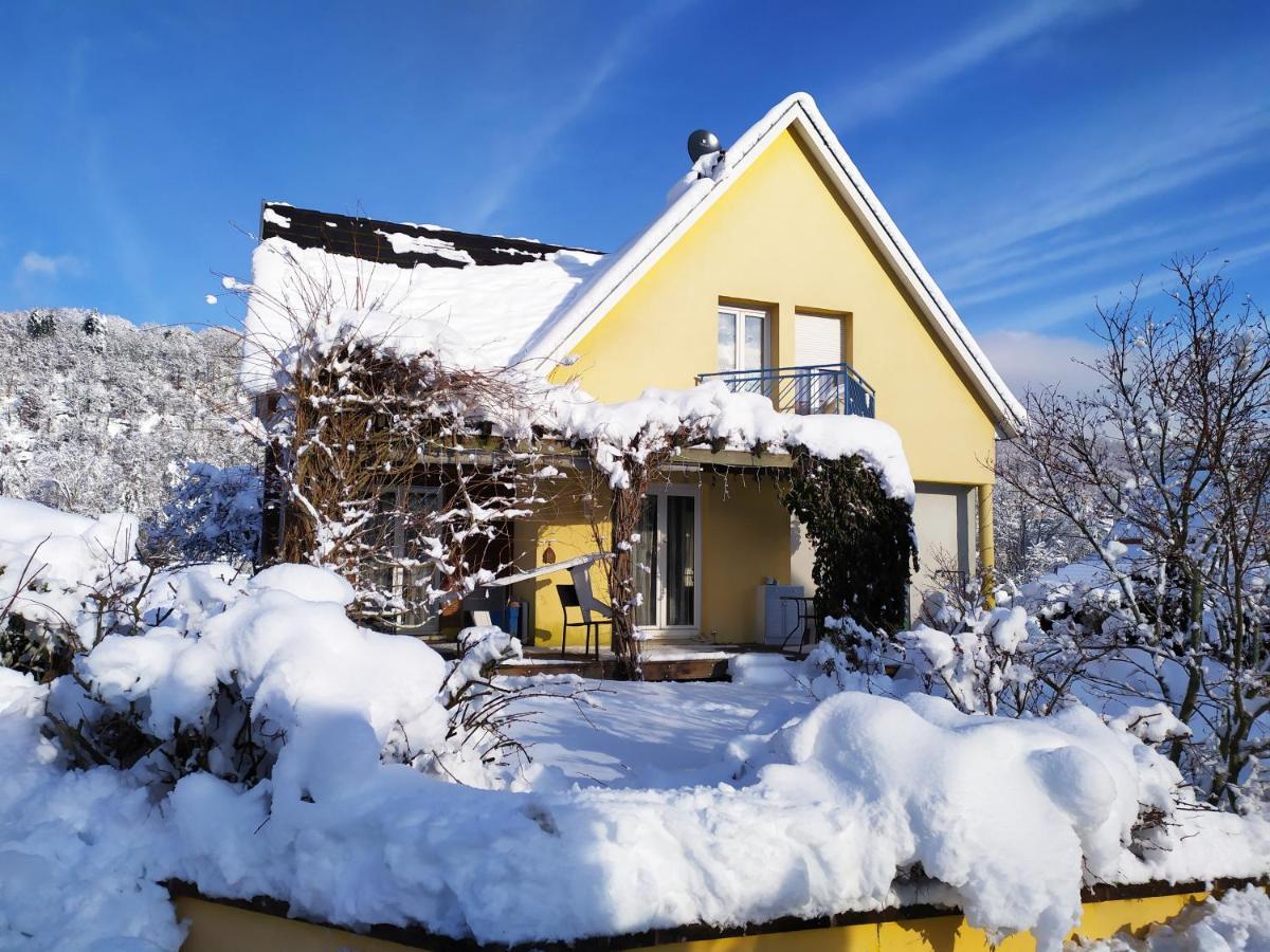 Alsace Nature Et Decouvertes Gunsbach 外观 照片